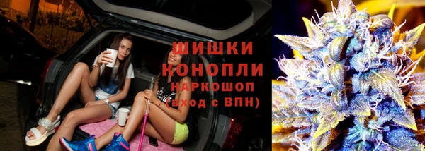 spice Абаза