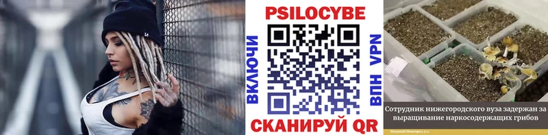 купить наркотик  Саратов  Галлюциногенные грибы MAGIC MUSHROOMS 